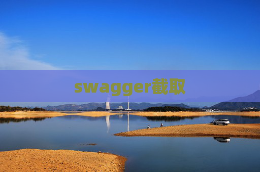 swagger截取